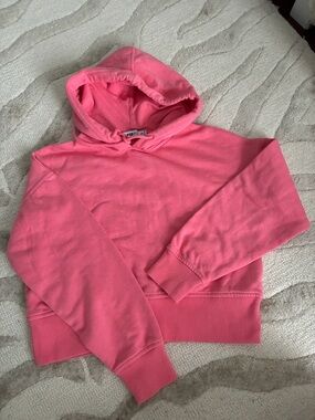 Women's Pink Cropped Hoodie Sweatshirt